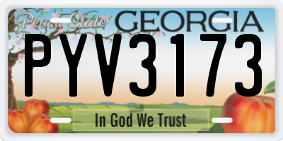 GA license plate PYV3173