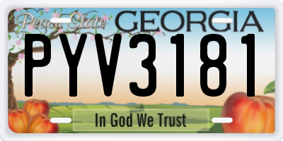 GA license plate PYV3181