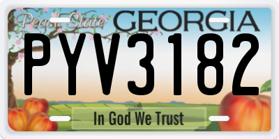 GA license plate PYV3182