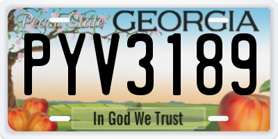GA license plate PYV3189