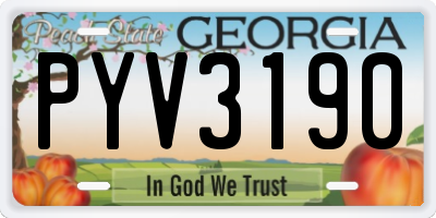 GA license plate PYV3190