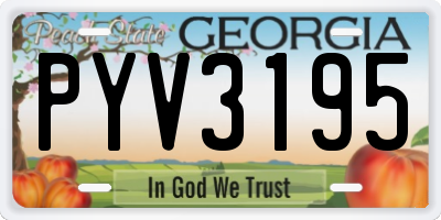 GA license plate PYV3195