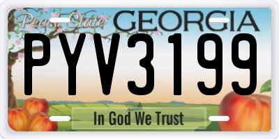 GA license plate PYV3199