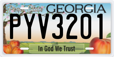 GA license plate PYV3201