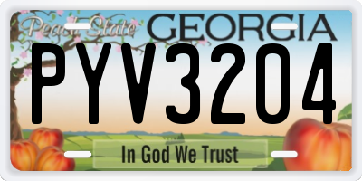 GA license plate PYV3204