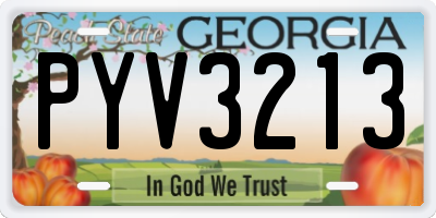 GA license plate PYV3213