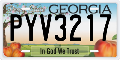 GA license plate PYV3217