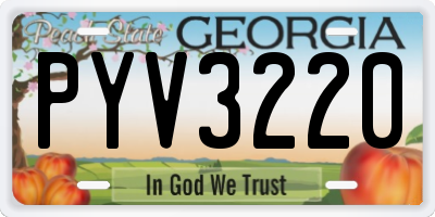 GA license plate PYV3220