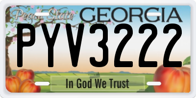 GA license plate PYV3222