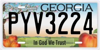 GA license plate PYV3224