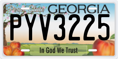 GA license plate PYV3225
