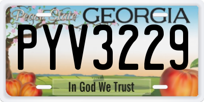 GA license plate PYV3229