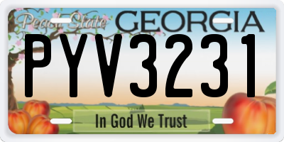 GA license plate PYV3231