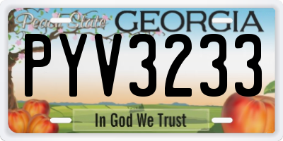 GA license plate PYV3233