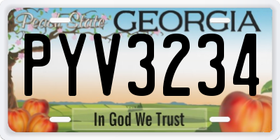 GA license plate PYV3234