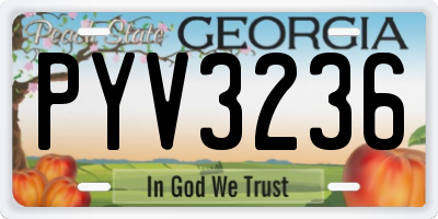 GA license plate PYV3236