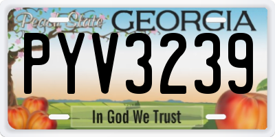 GA license plate PYV3239
