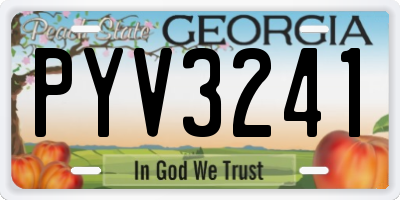 GA license plate PYV3241
