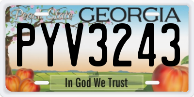 GA license plate PYV3243