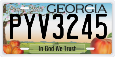 GA license plate PYV3245