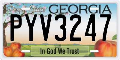 GA license plate PYV3247