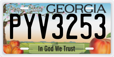 GA license plate PYV3253