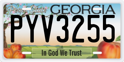 GA license plate PYV3255