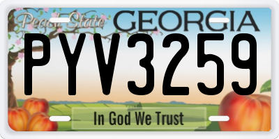 GA license plate PYV3259