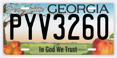 GA license plate PYV3260
