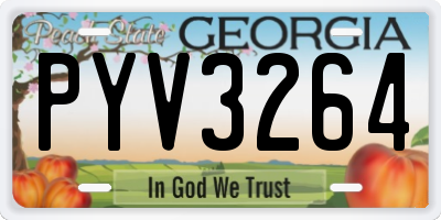 GA license plate PYV3264