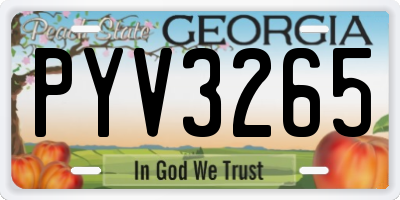 GA license plate PYV3265