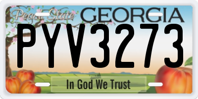 GA license plate PYV3273