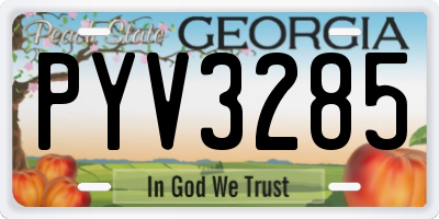 GA license plate PYV3285