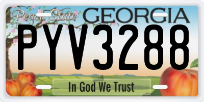 GA license plate PYV3288