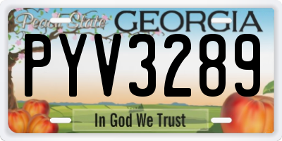 GA license plate PYV3289