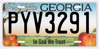 GA license plate PYV3291