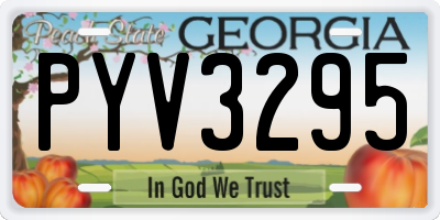 GA license plate PYV3295