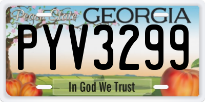 GA license plate PYV3299