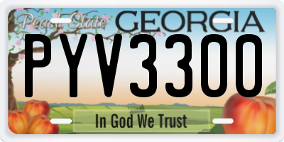 GA license plate PYV3300