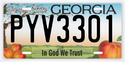 GA license plate PYV3301