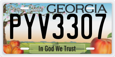 GA license plate PYV3307