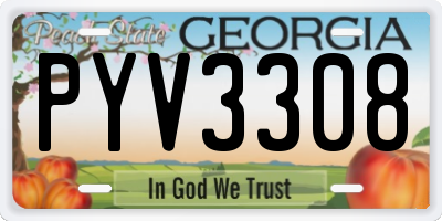 GA license plate PYV3308
