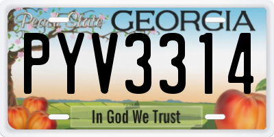 GA license plate PYV3314
