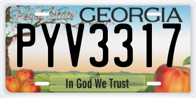 GA license plate PYV3317