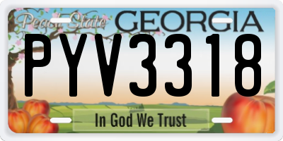 GA license plate PYV3318