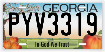 GA license plate PYV3319
