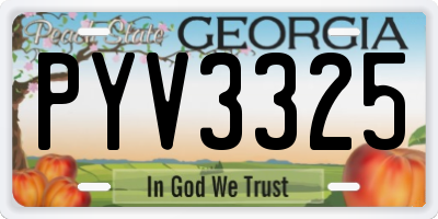 GA license plate PYV3325