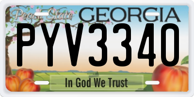 GA license plate PYV3340