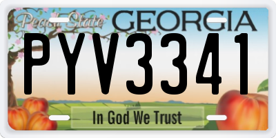 GA license plate PYV3341