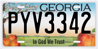GA license plate PYV3342